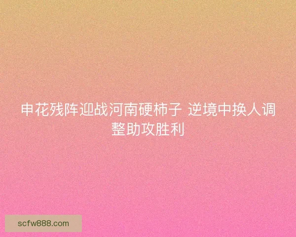 申花残阵迎战河南硬柿子 逆境中换人调整助攻胜利