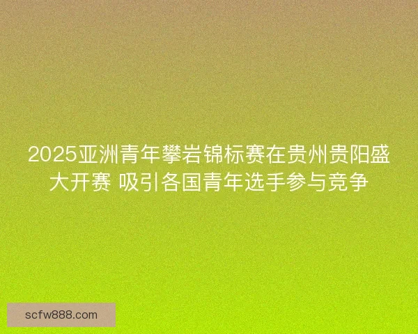 2025亚洲青年攀岩锦标赛在贵州贵阳盛大开赛 吸引各国青年选手参与竞争