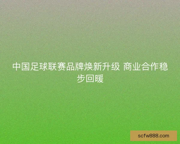 中国足球联赛品牌焕新升级 商业合作稳步回暖