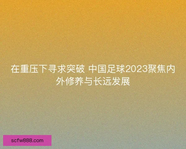 在重压下寻求突破 中国足球2023聚焦内外修养与长远发展
